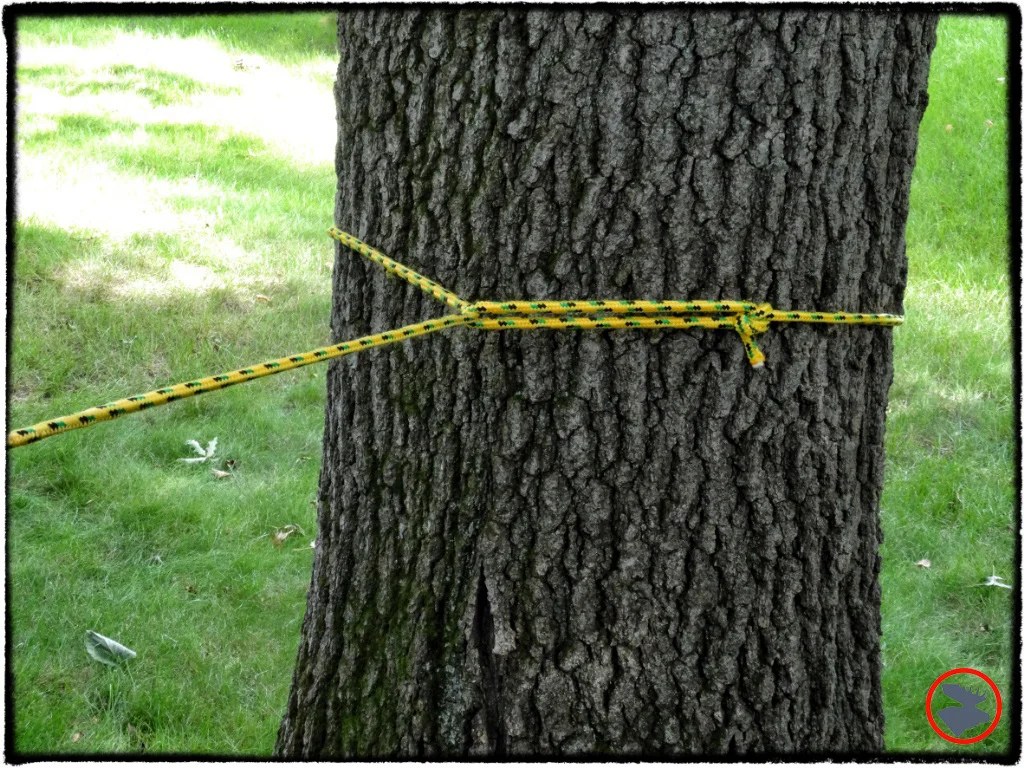 Bowline The King of Knots Reexamined — Bull Moose Patrol